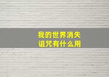 我的世界消失 诅咒有什么用